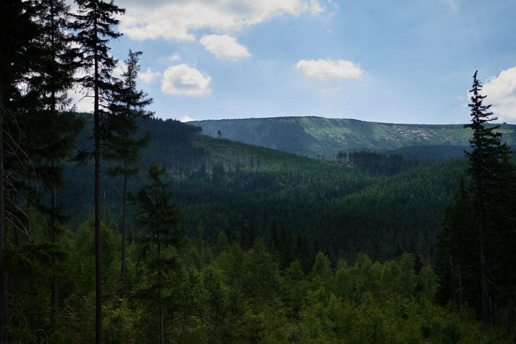 plener ślubny w Karpaczu