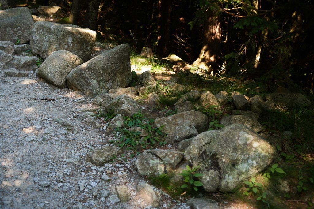 plener ślubny w Karpaczu