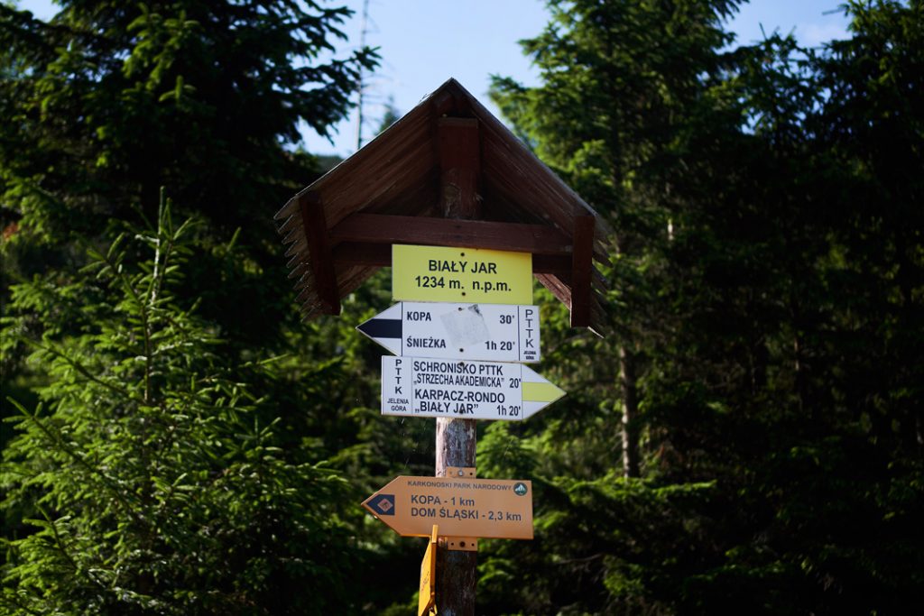 plener ślubny w Karpaczu