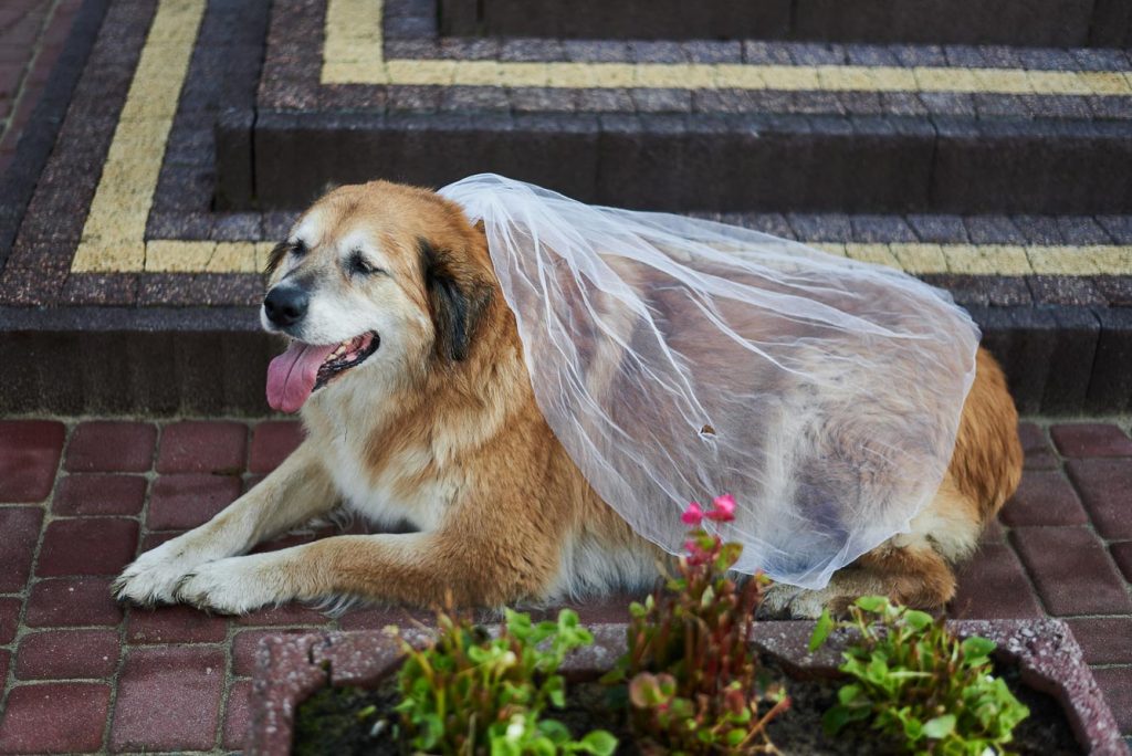 przygotowania-do-ślubu-0004