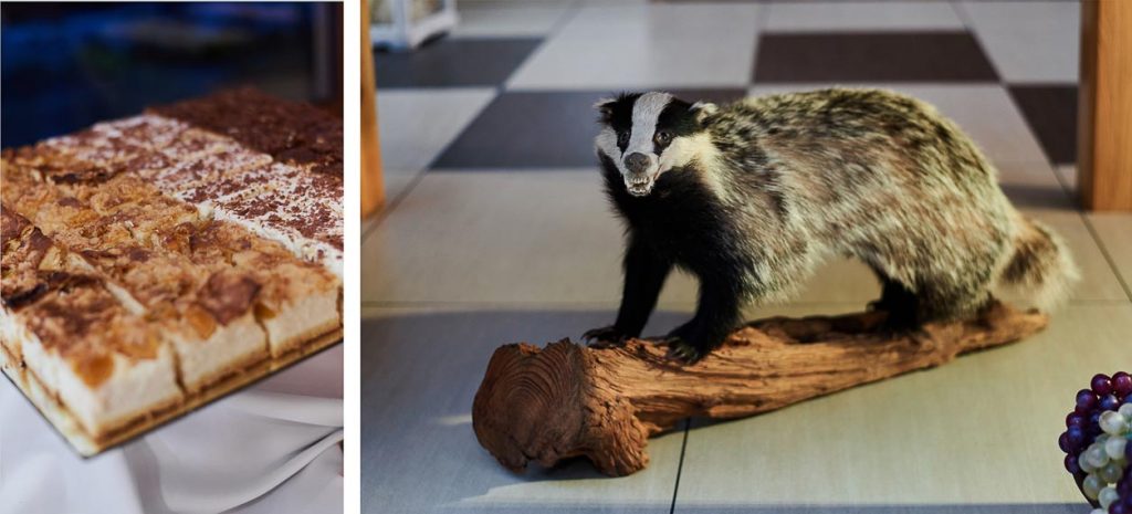 cykada-komaszyce-wesele-125