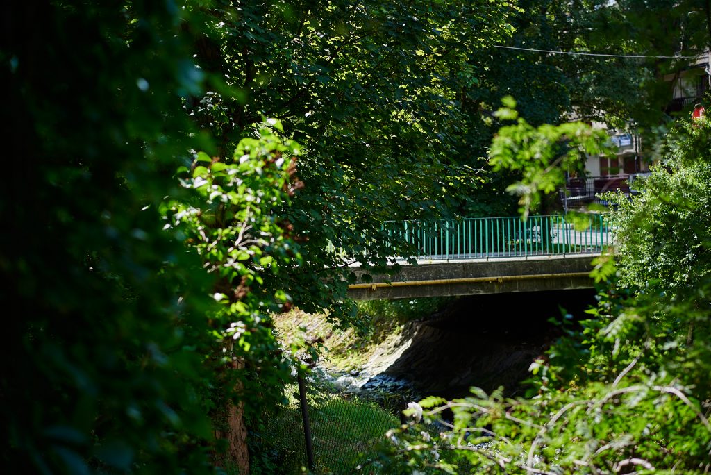 fotografia ślubna zakopane