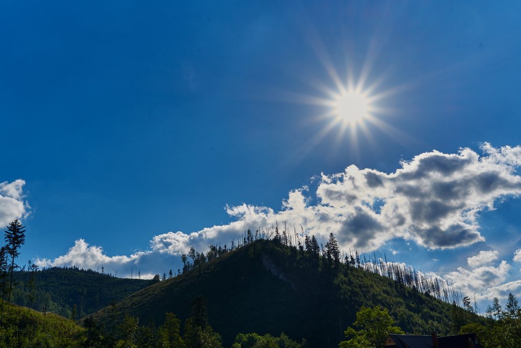 wesele w gazdówce pod lasem